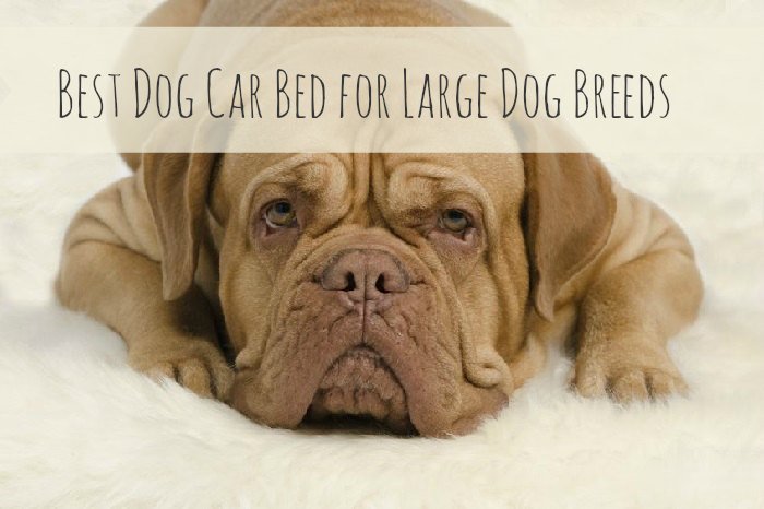 Best Dog Car Bed for Large Dog Breeds