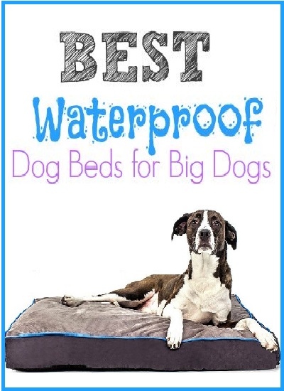 Favorite Waterproof Dog Beds for Large Dogs